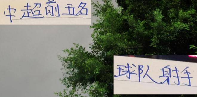 但足以证明 但足以证明