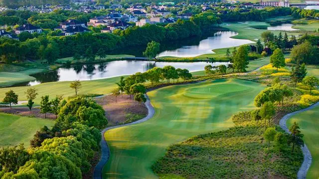 本届中国女 本届中国女